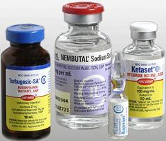 Photograph of four drug vials.