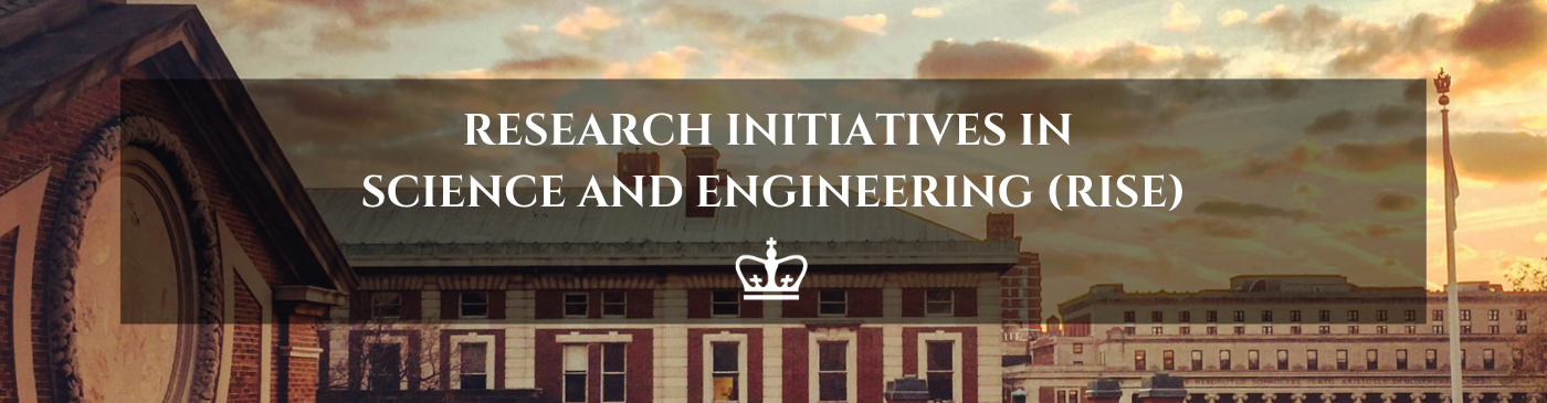 Research Initiatives in Science and Engineering (RISE)