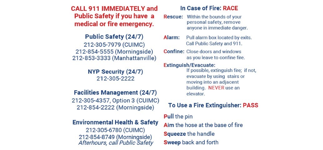 Cards images showing emergency contact numbers and Race Pass procedures.