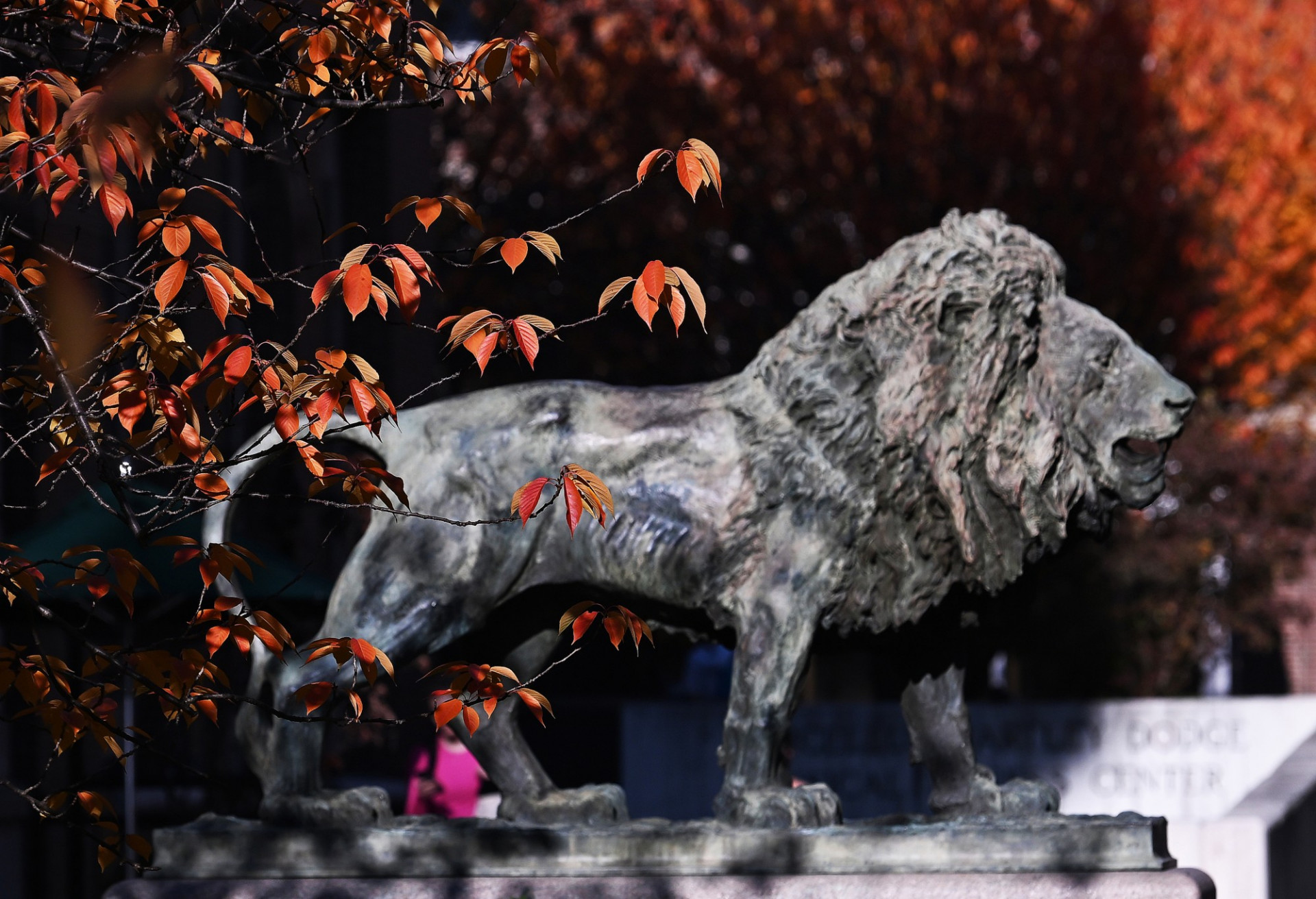 Lion statue picture by Eileen Barroso