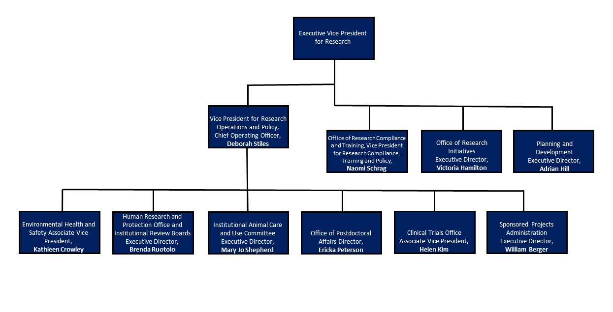 EVPR Organizational Chart