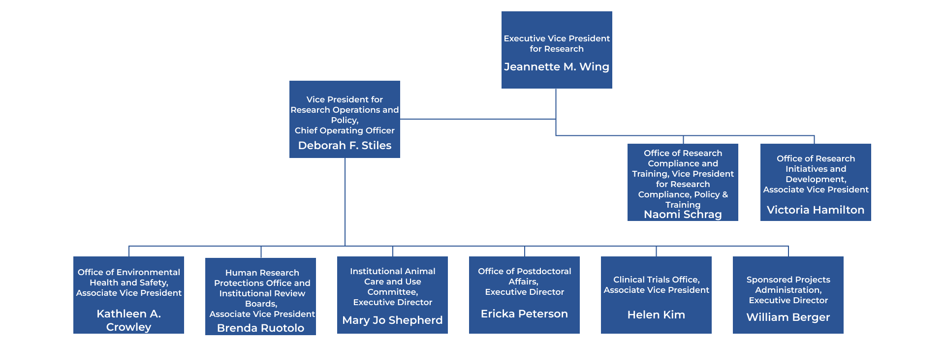 Org Chart