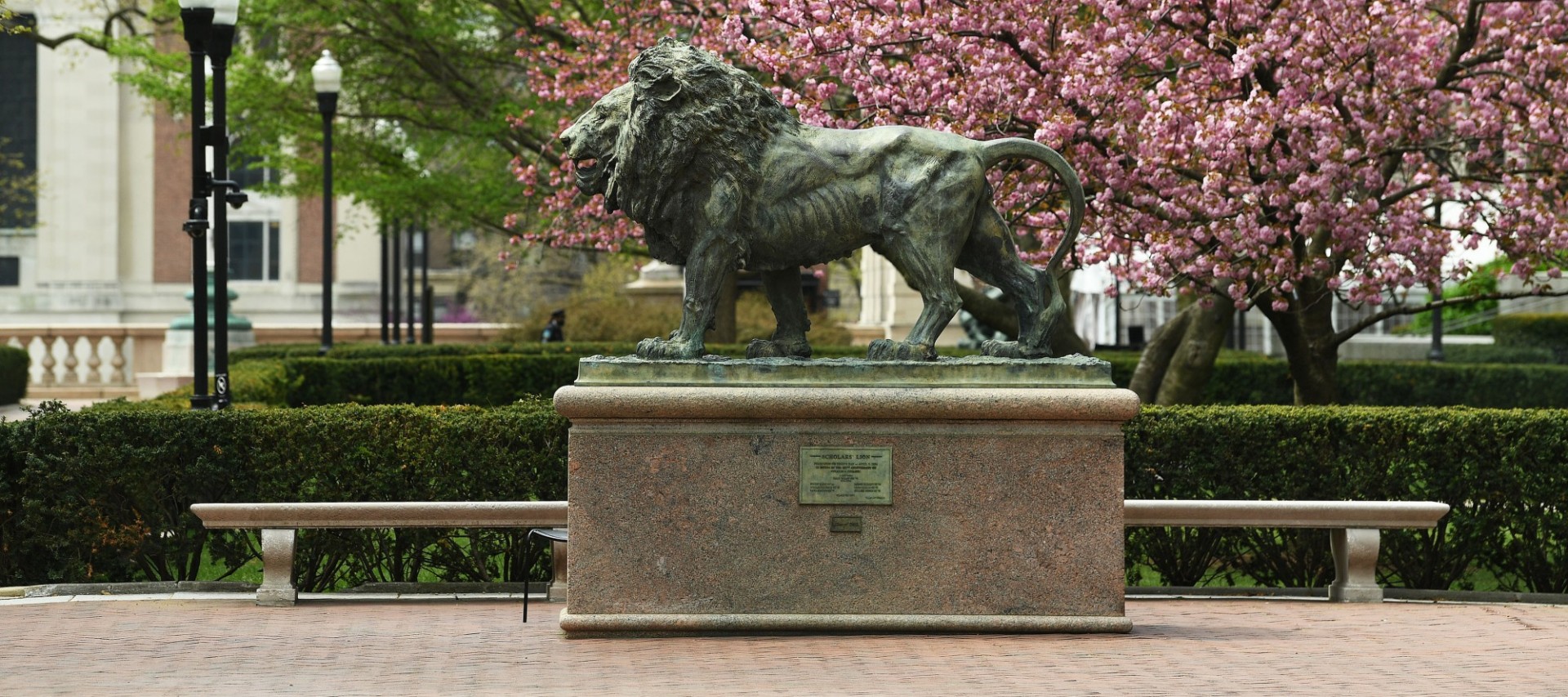 Columbia Lion Spring