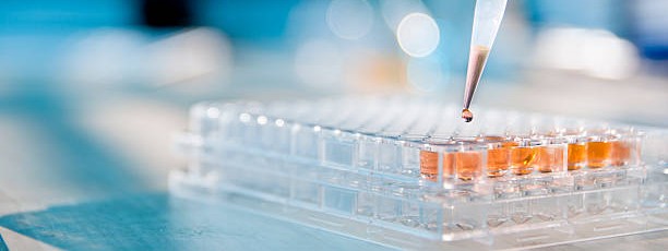 Wet lab stock photo