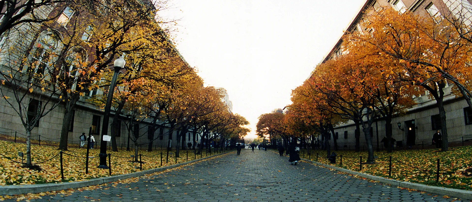 College walk in the autumn