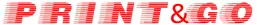 Print and Go Logo
