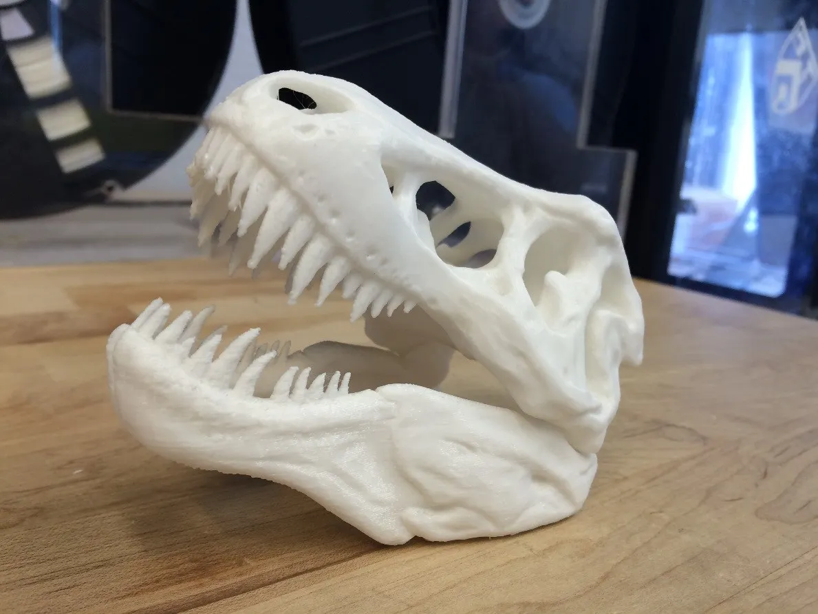 Dinosaur skull produced by 3D printer.