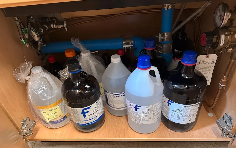 Picture of various prohibited chemicals stored under the sink