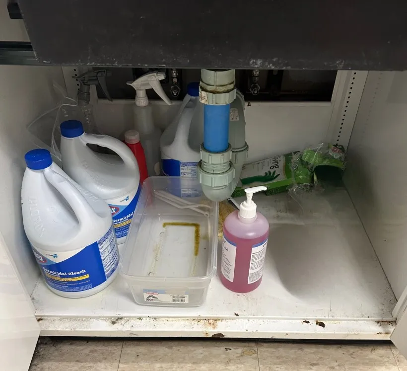 Picture of various approved chemicals stored under the sink