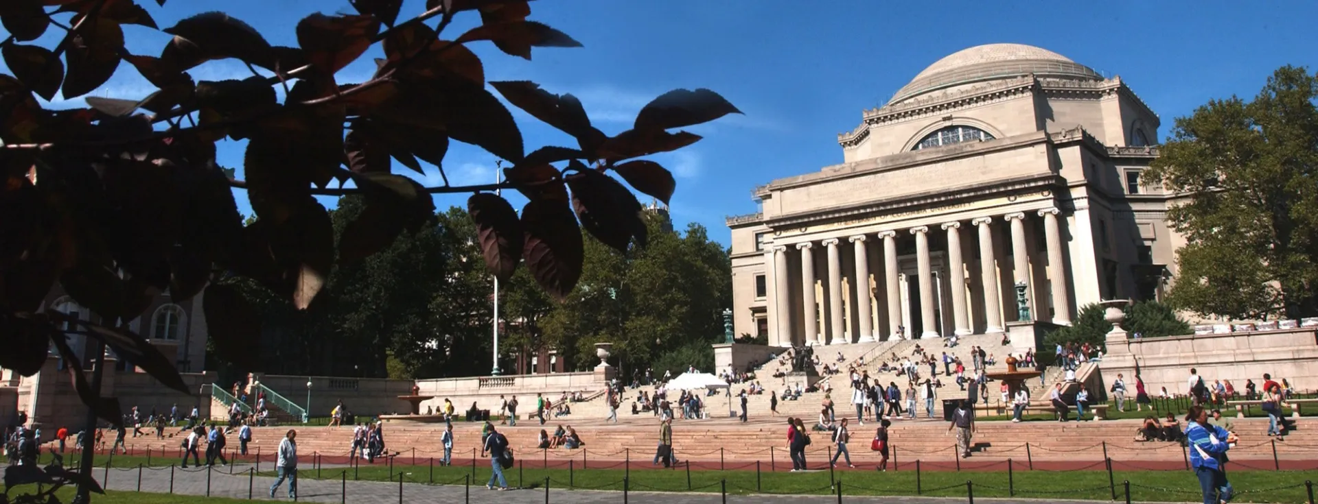 Low library behind leaves