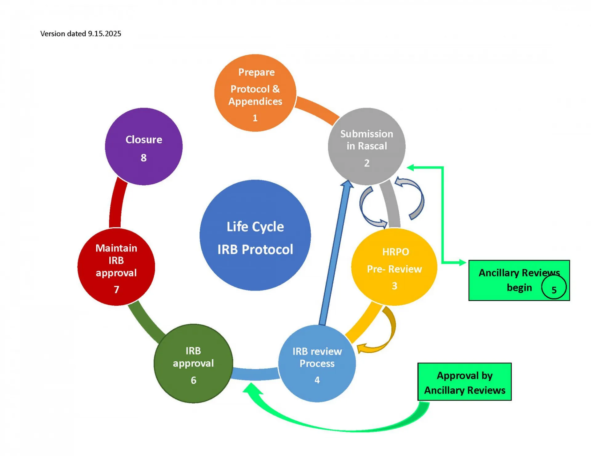 Life Cycle IRB Protocol 