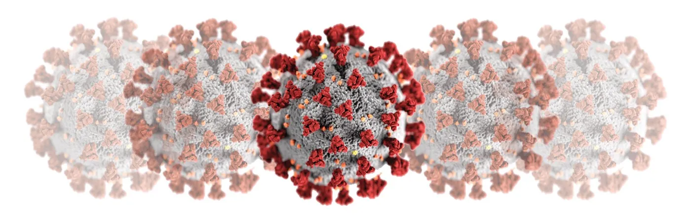 Covid 19 Virus.jpeg