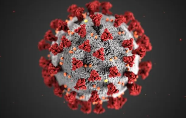 This illustration reveals ultrastructural morphology exhibited by coronaviruses (Credit: Centers for Disease Control and Prevention (CDC)).