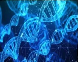 Image of DNA
