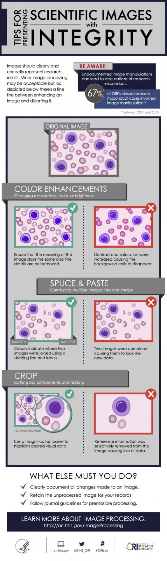 Image Manipulation Infographic