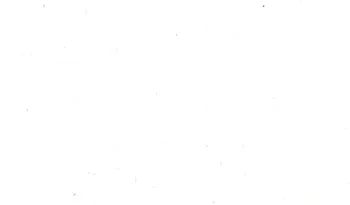 White Bg