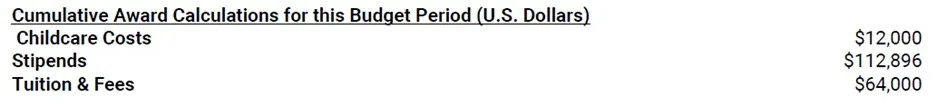 Screen shot of Notice of Award (NOA) containing childcare costs