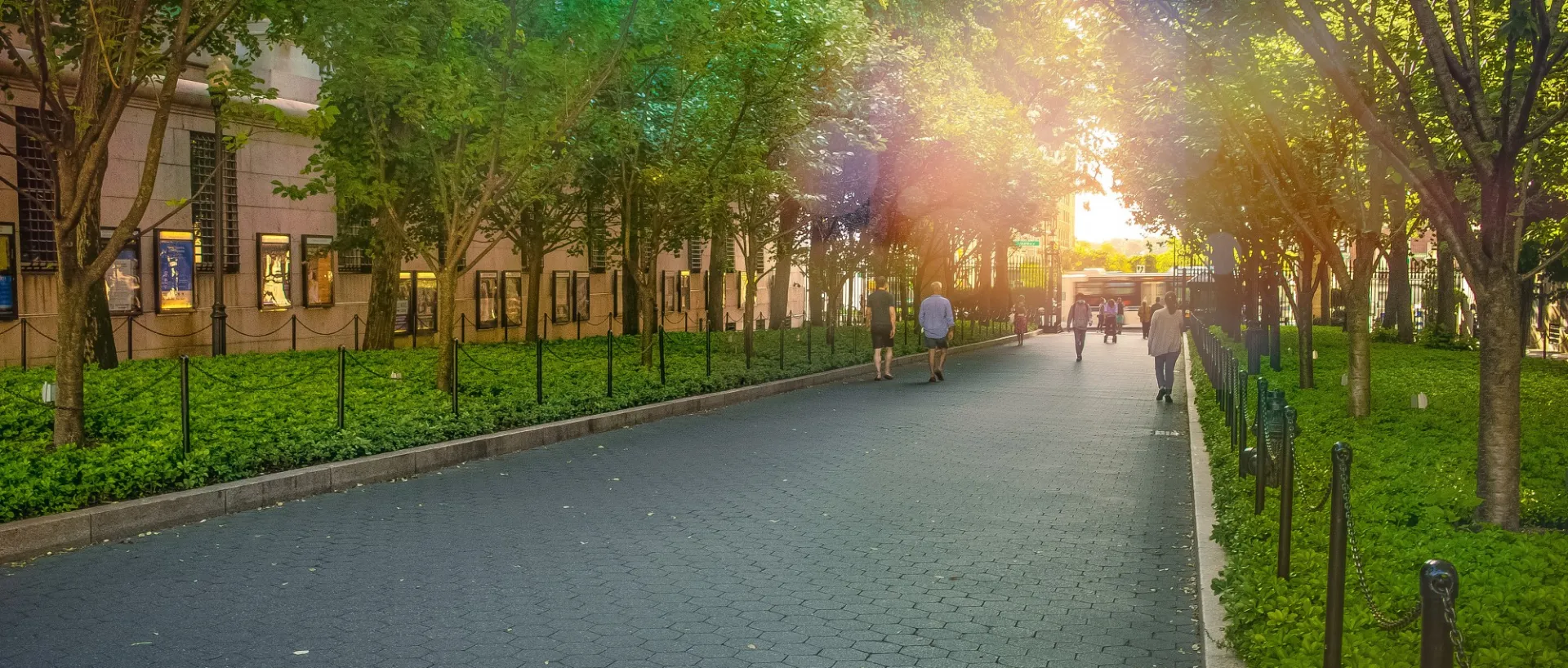 Columbia College Walk Summer Sun